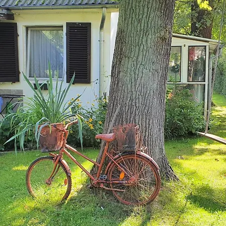 Schatz * Siedlung Schonwalde